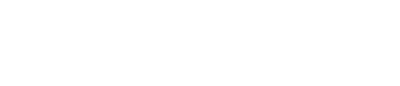 Netvice